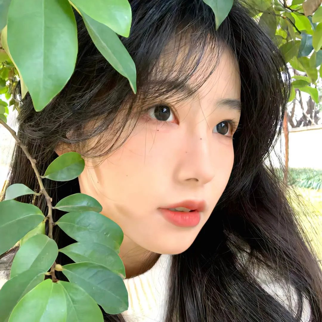 天机十二宫第一季